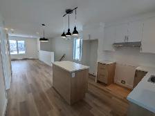 4 ½ – Triplex Neuf (Construction 2026)