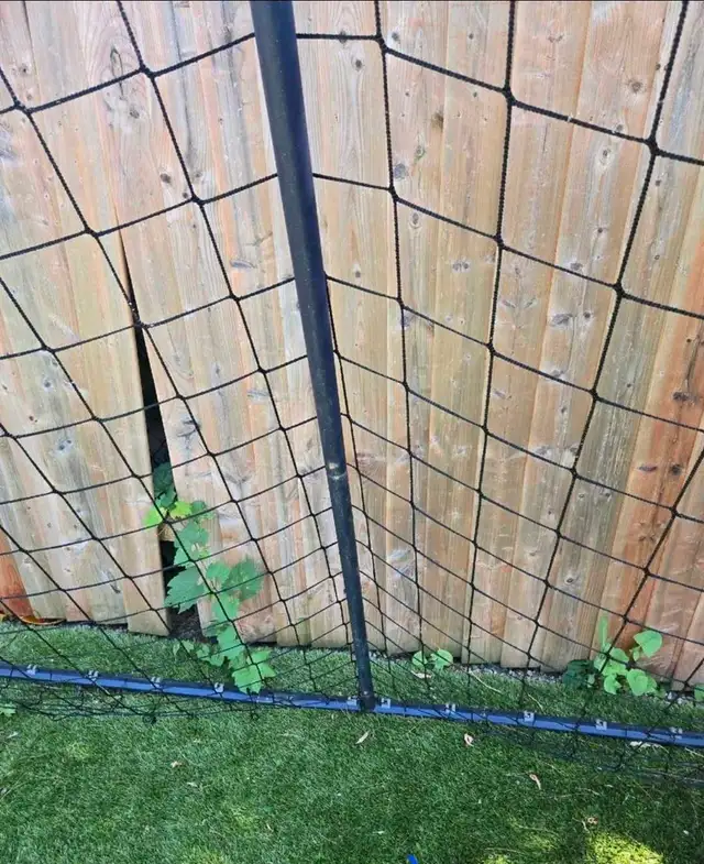 Kipsta Soccer Goal Net In Immaculate Condition For $120 - Photo 3