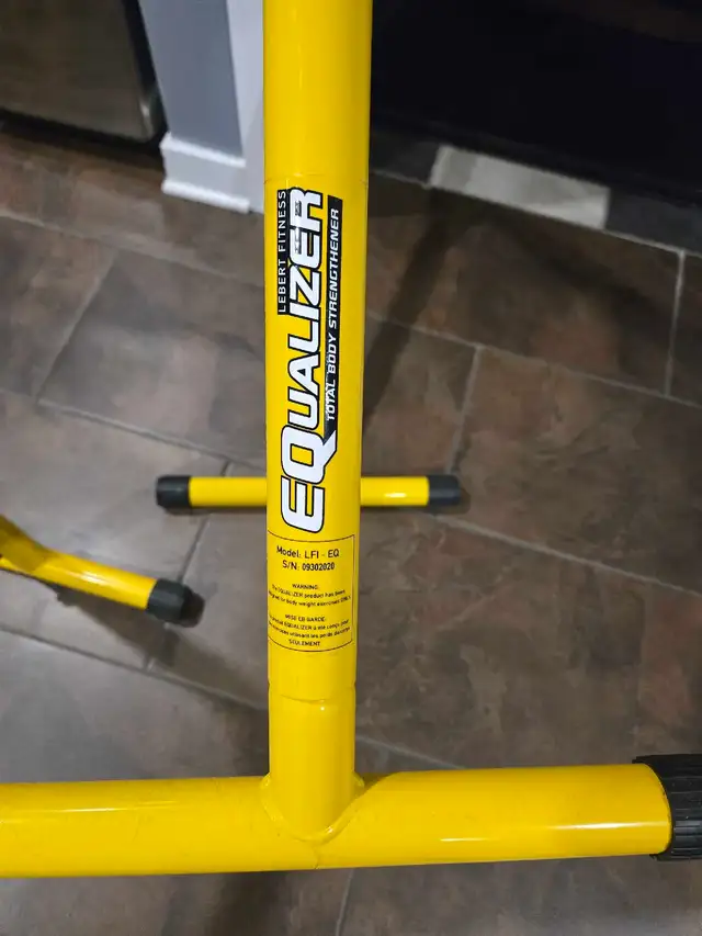 Lebert Fitness Dip Bars Like New for $50