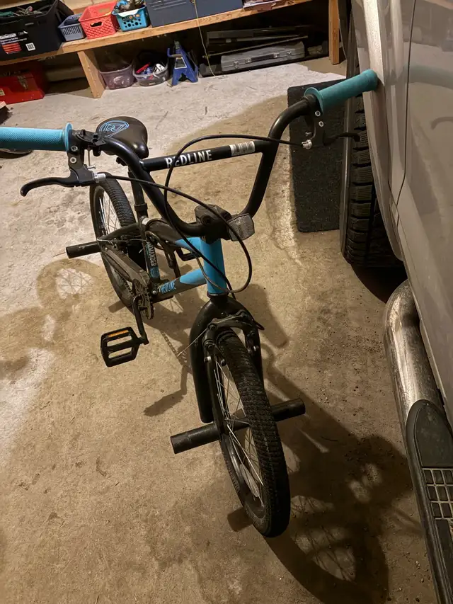 Redline Commander Kids' BMX Bike