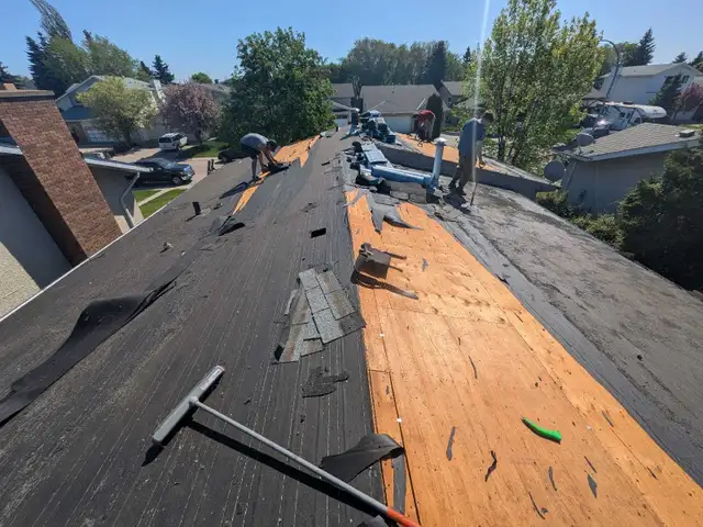 Shingles, Repair, Install & More - Photo 8