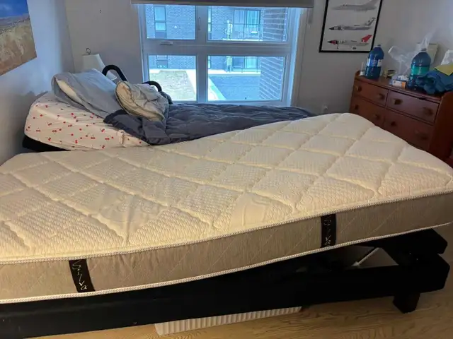 Ergomotion 390 Adjustable Electric Bed with Mattress For $400