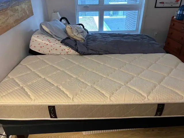 Ergomotion 390 Adjustable Electric Bed with Mattress For $400 - Photo 3