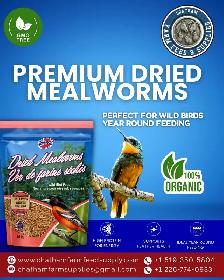 premium dried mealworms