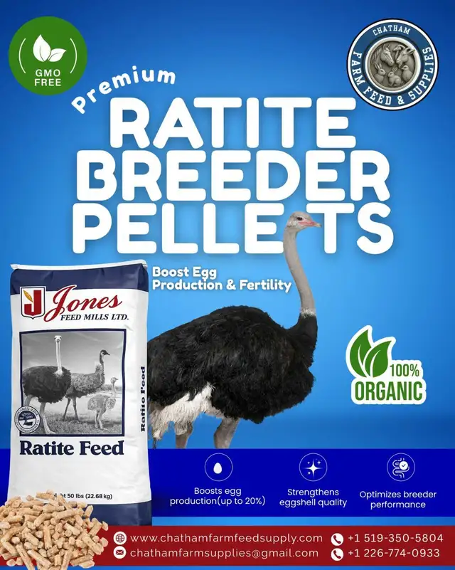 Ratite feed for emus and ostriches