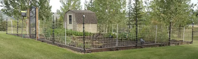 RAISED GARDEN OR LANDSCAPE BEAMS - DOUGLAS FIR BEAMS -GOOD SHAPE