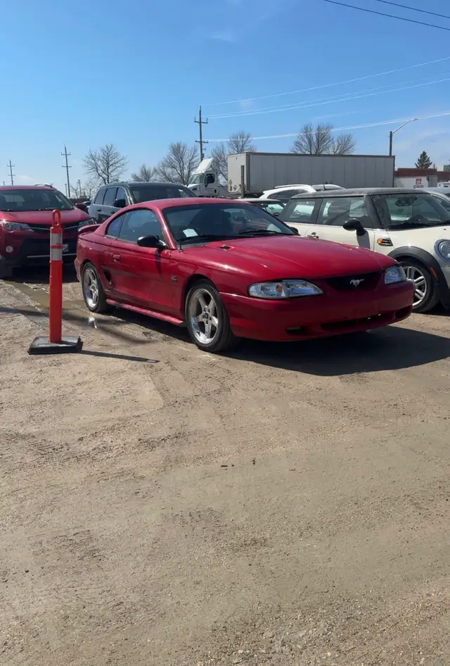 1994 ford mustang - Photo 2