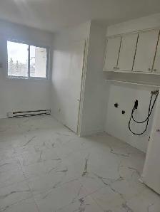 apparemment 4 1/2 a louer pointe aux trembles - Photo 3