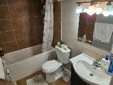 Beautiful Newly Renovated 2-Bedroom Basement Suite for Rent - Photo 2