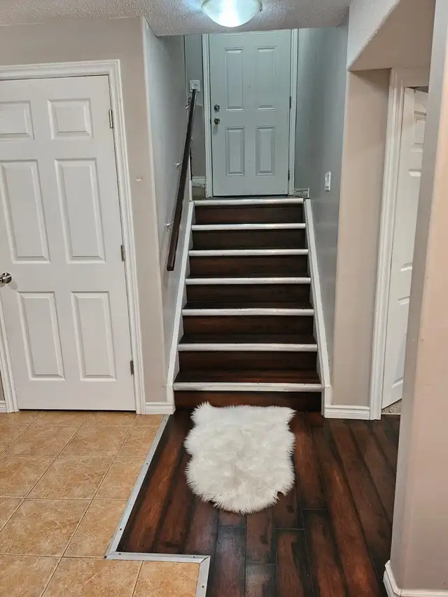 Beautiful Newly Renovated 2-Bedroom Basement Suite for Rent - Photo 5