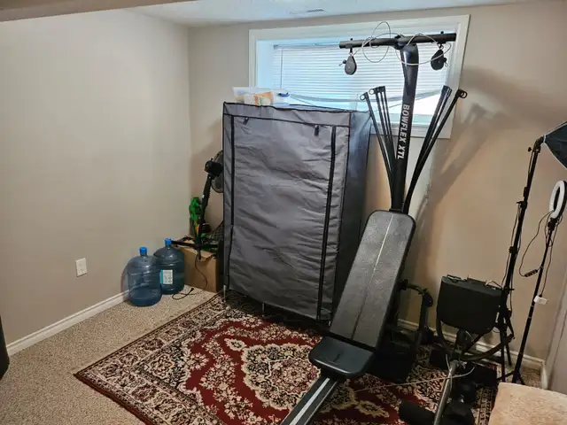 Beautiful Newly Renovated 2-Bedroom Basement Suite for Rent - Photo 6