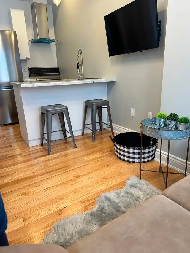 Ottawa Centretown–1 Bdrm Apt Main Flr /EV charger/AC/EnsLaundry - Photo 3