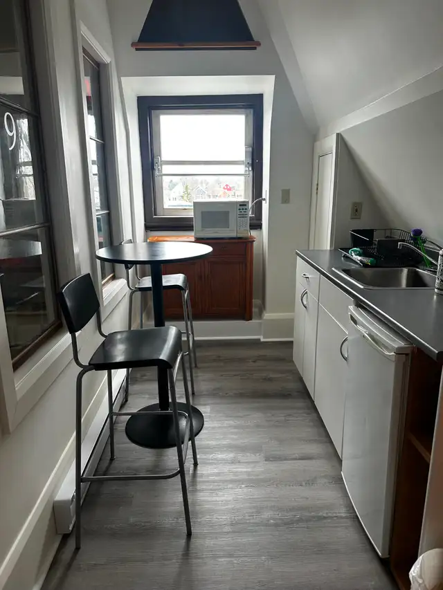 Mississippi Mills / Almonte – commercial/office space for lease - Photo 3