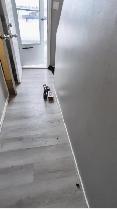 3 Beds 1.5 Baths Townhouse  (2-Storey) - AVAILABLE NOW - Photo 13