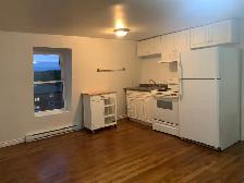 1 Bedroom 1 Bath Apartment for Rent in Wiarton ON