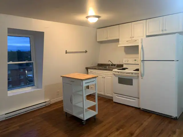 1 Bedroom 1 Bath Apartment for Rent in Wiarton ON - Photo 2