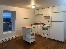 1 Bedroom 1 Bath Apartment for Rent in Wiarton ON - Photo 2