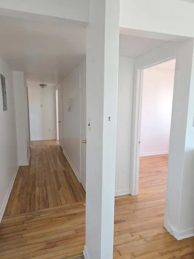 4 1/2 dans la Petite-Italie | 4 1/2 in Little Italy - Photo 9