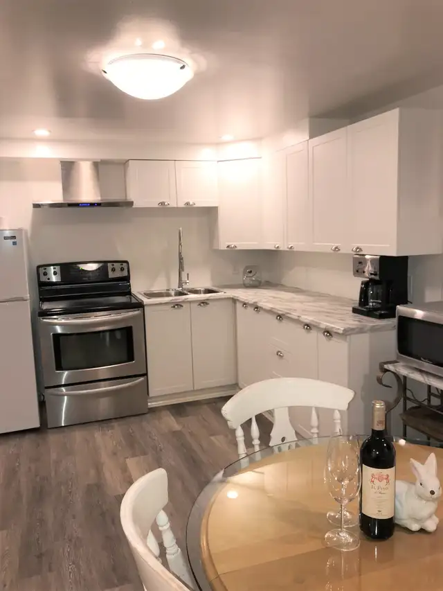 Room w/Pvt Bath apt Share w/1 other female 5min walk to Carleton - Photo 7