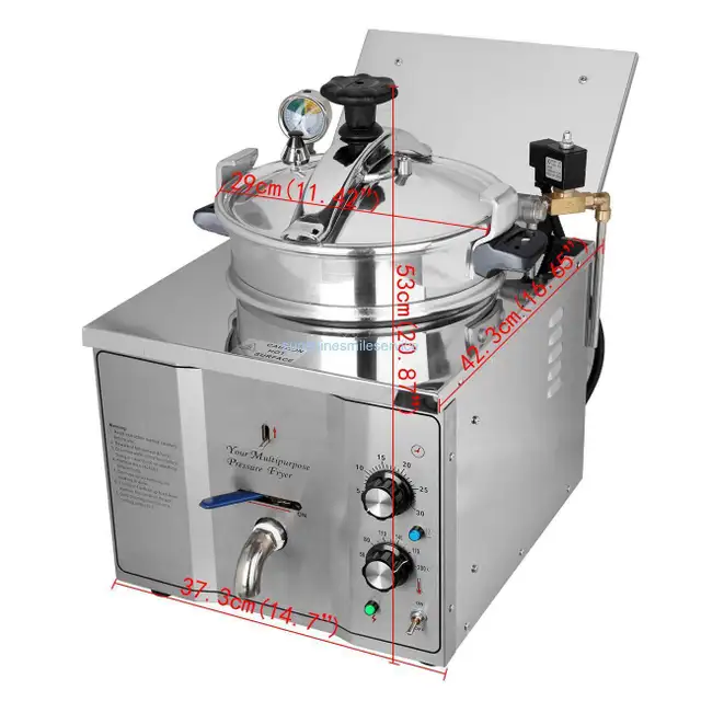 110V 16L Electric High Pressure Fryer Chicken Stove Oven 022262 - Photo 8