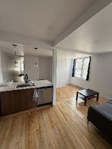 Appartement de 3 chambres et 1 salle de bain (Cession de bail) - Photo 12