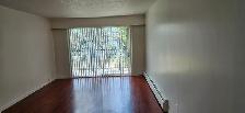 $1,595 / 1br - 700ft2 - 1 Bedroom apartment at 2nd floor availab - Photo 2