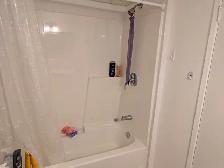 Room for Rent Bonnie Doon Basement Suite - Photo 3