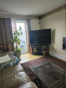 One room in a two-bedroom apartment in downtown Gatineau Hall, a - Photo 10