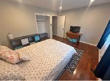 Room Available Now by Yellowhead and 97 St Nw