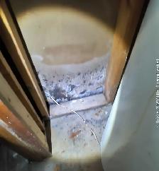 general carpenter helper