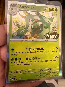 Serperior Pokemon Card