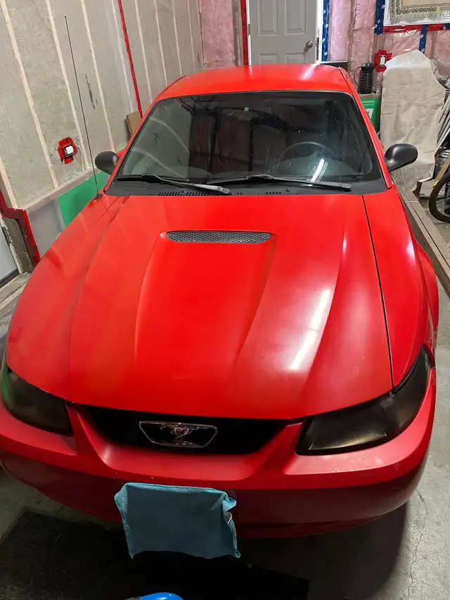 2000 Ford Mustang