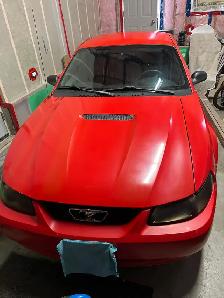 2000 Ford Mustang