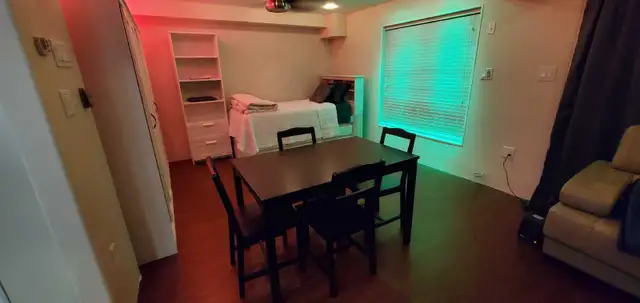 Basement Studio Walk-out Apartment - Photo 2