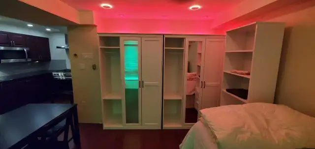 Basement Studio Walk-out Apartment - Photo 3