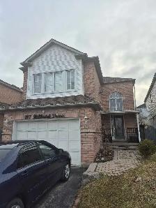 Basement Apartment for Rent