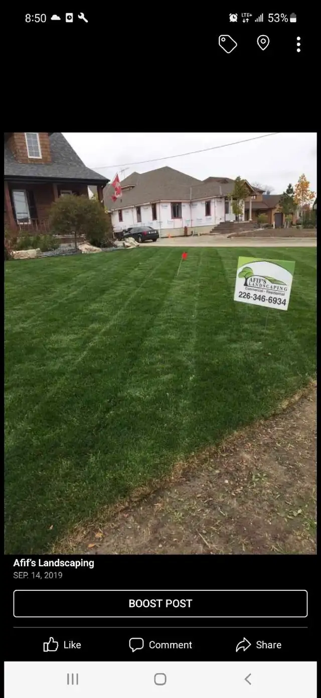 landscaping Sod lawn cutting trimming spring yard clean up - Photo 3
