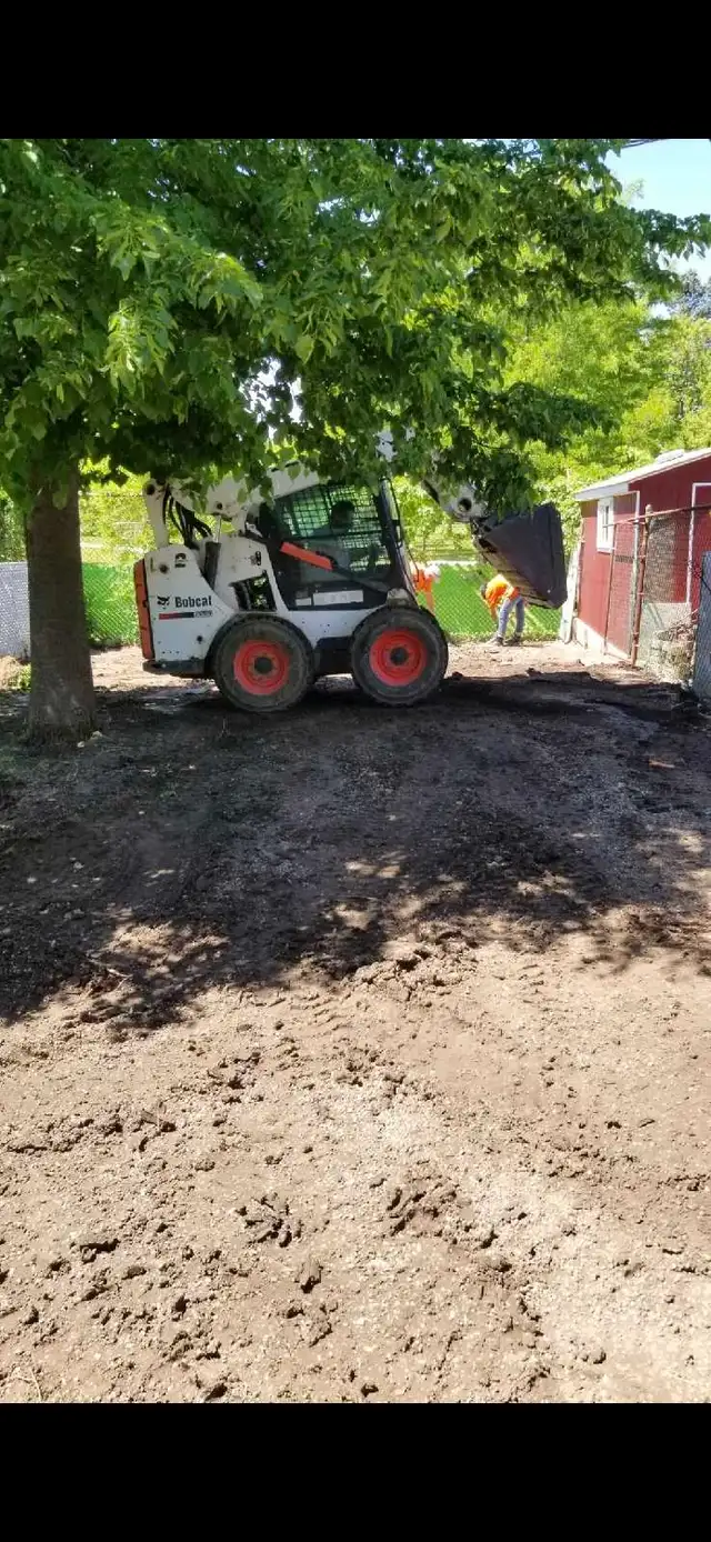 landscaping Sod lawn cutting trimming spring yard clean up - Photo 4