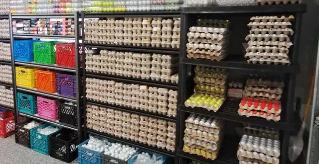 Golf Balls Galore