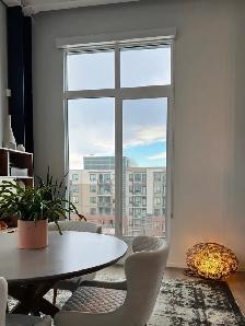 ☀️ Rare Bridgeland Penthouse— 3 Bed / 2 Bath, Top Floor - Photo 4