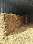 Straw bales