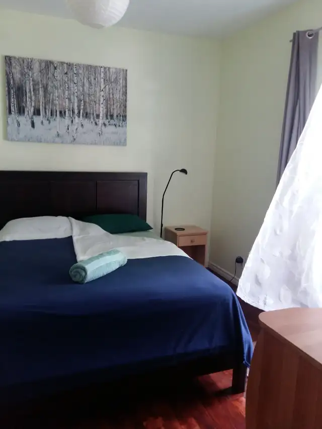 Nice room, very comfortable, bright 3 min walk from Rosemont M° - Photo 3