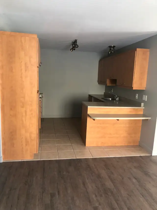 5 1/2 Style condo, Secteur Fleurimont 8 min du C.H.U.S et du C.E - Photo 5