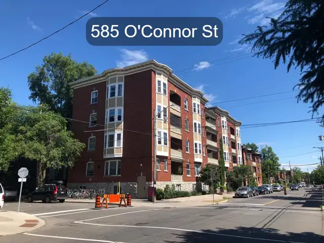 Cozy 2 Bedroom Glebe Apartment for Rent (585 O'Connor St)