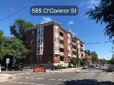 Cozy 2 Bedroom Glebe Apartment for Rent (585 O'Connor St)