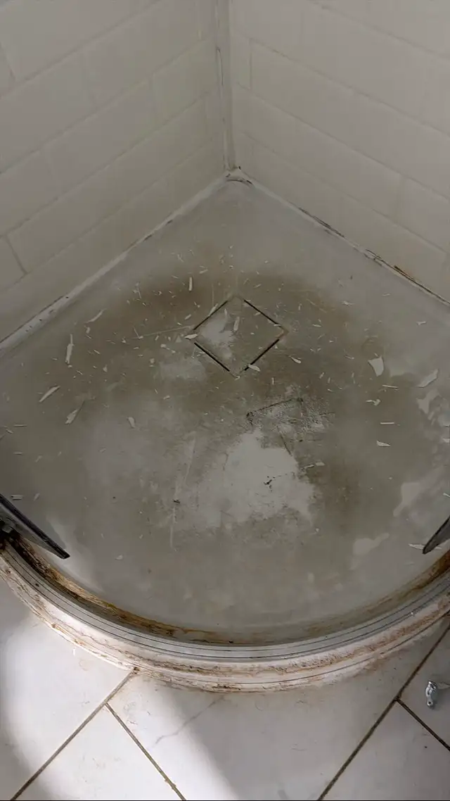 Cleaning  Noth York Ontario - Photo 2