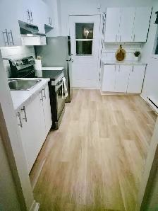 31/2 MONTREAL DOWNTOWN 1370$/ (438) 873 - 8708