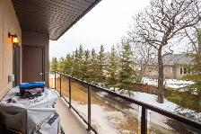 Cute n Cozy 974 Sqft 2bdrm Condo in the South of Winnipeg! - Photo 10