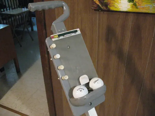 Two Wheel Push Golf Cart - Photo 4