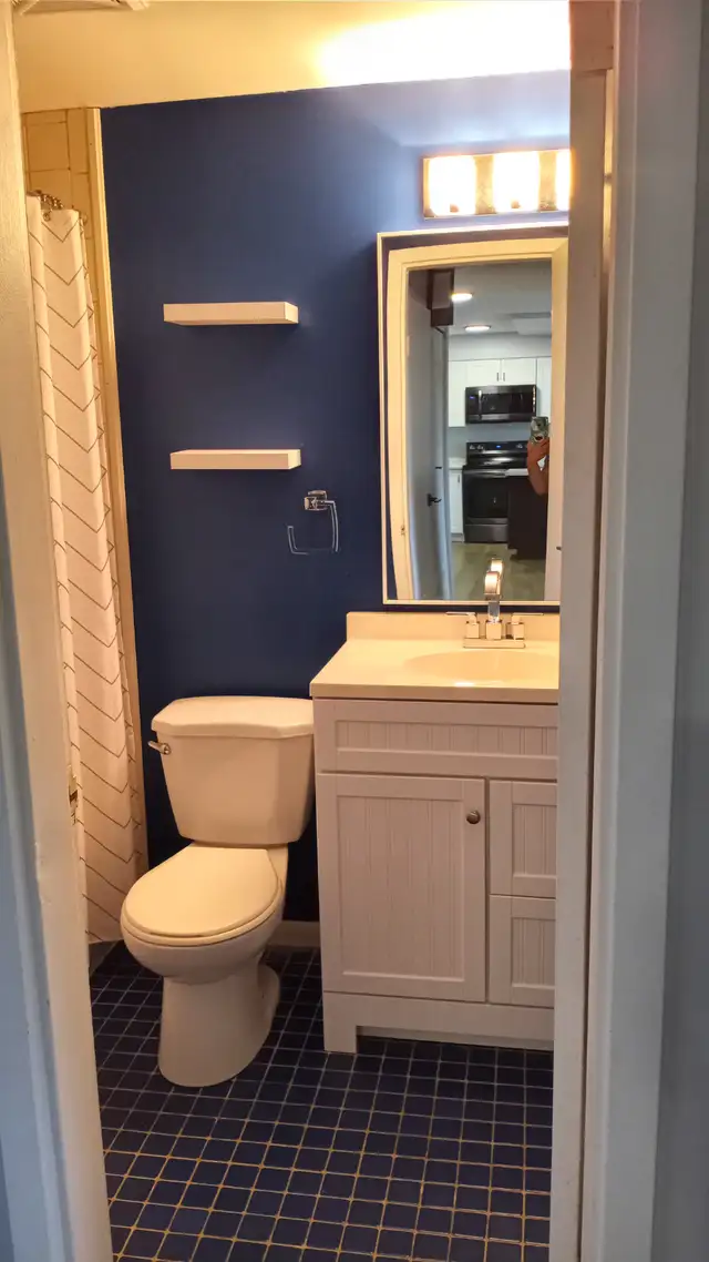 Modern 2 Bedroom, 1 Bath Condo for Rent in Windsor - Photo 4